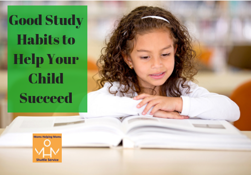 Good Study Habits to Help Your Child Succeed